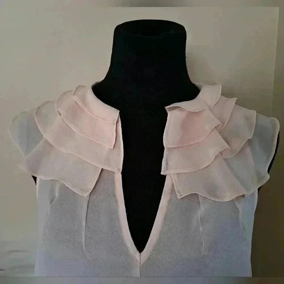 Forever 21  Sleeveless Blouse Pake Pink Small Ruffle Lightweight Semi Sheer - Picture 9 of 9